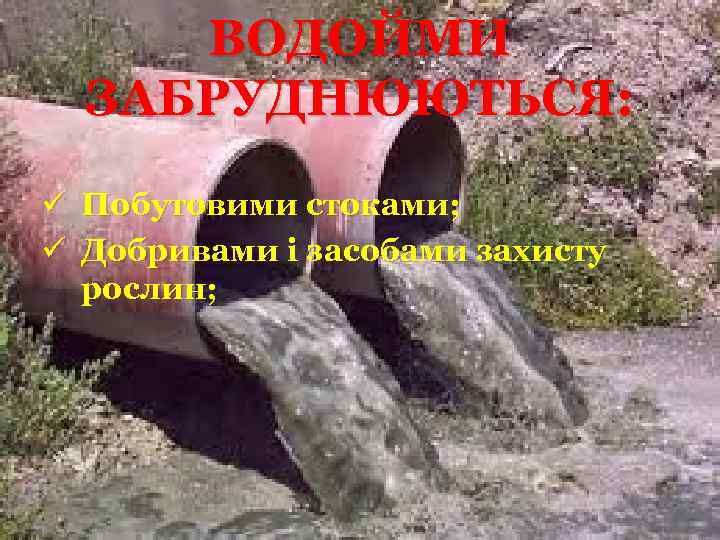 ВОДОЙМИ ЗАБРУДНЮЮТЬСЯ: ü Побутовими стоками; ü Добривами і засобами захисту рослин; 