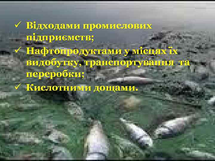 ü Відходами промислових підприємств; ü Нафтопродуктами у місцях їх видобутку, транспортування та переробки; ü