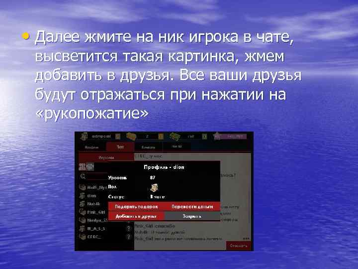  • Далее жмите на ник игрока в чате, высветится такая картинка, жмем добавить