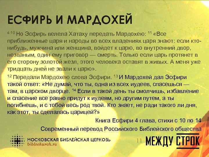 ЕСФИРЬ И МАРДОХЕЙ 4: 10 Но Эсфирь велела Хатаху передать Мардохею: 11 «Все приближенные