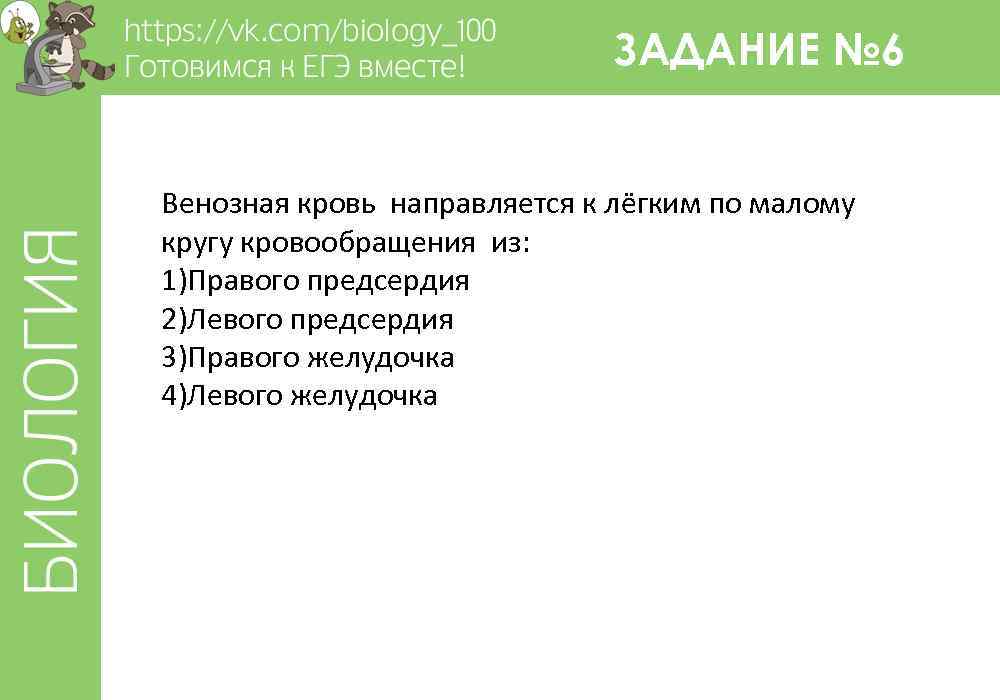 ЗАДАНИЕ № 6 Венозная кровь направляется к лёгким по малому кругу кровообращения из: 1)Правого