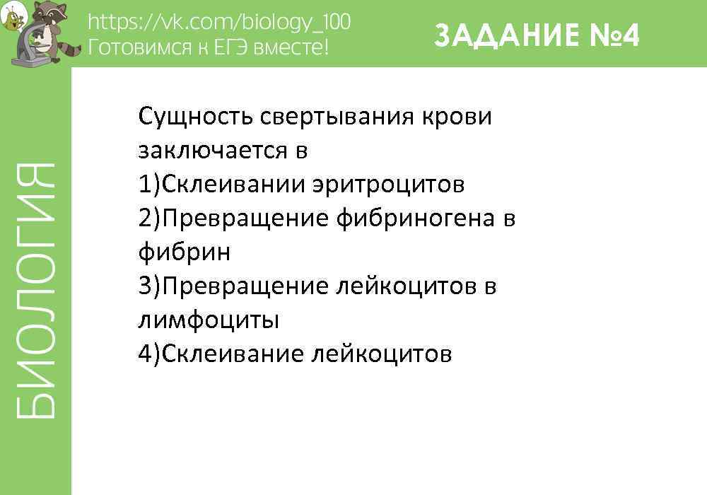 ЗАДАНИЕ № 4 Сущность свертывания крови заключается в 1)Склеивании эритроцитов 2)Превращение фибриногена в фибрин