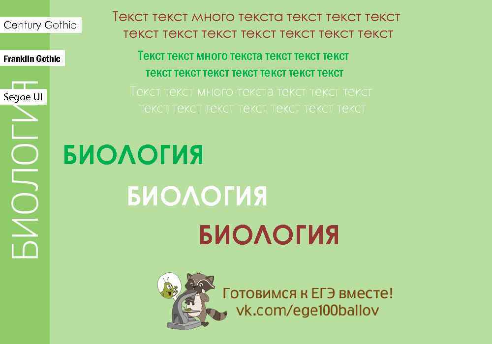 Century Gothic Franklin Gothic Segoe UI Текст текст много текста текст текст текст текст