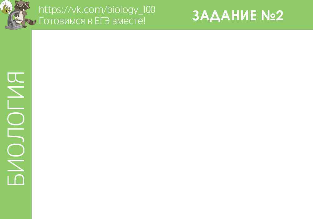 ЗАДАНИЕ № 2 