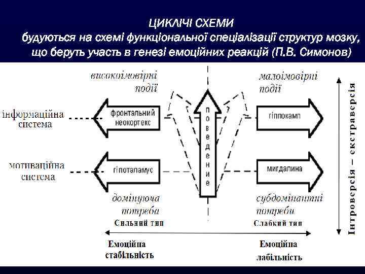 ЦИКЛІЧІ СХЕМИ будуються на схемі функціональної спеціалізації структур мозку, що беруть участь в генезі