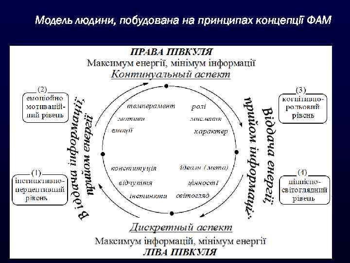 Модель людини, побудована на принципах концепції ФАМ 