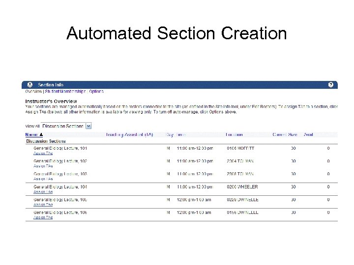 Automated Section Creation 