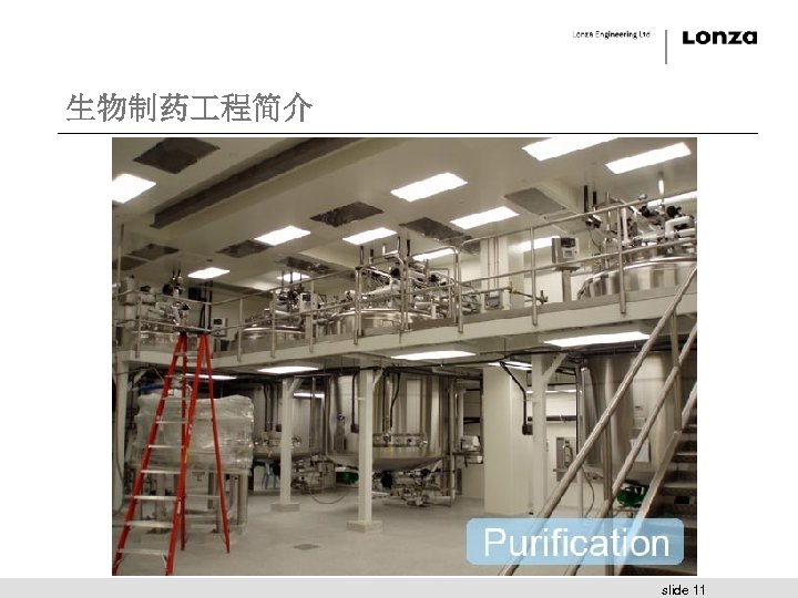 生物制药 程简介 slide 11 