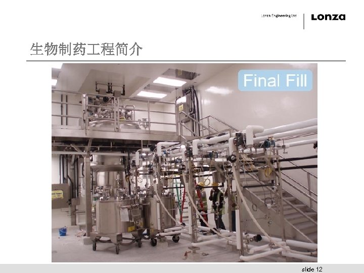 生物制药 程简介 slide 12 