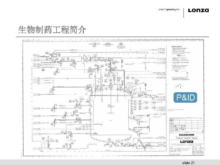 生物制药 程简介 slide 21 