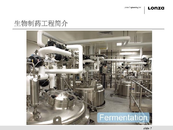 生物制药 程简介 slide 7 