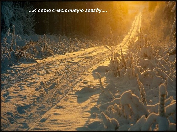 . . . И свою счастливую звезду. . 