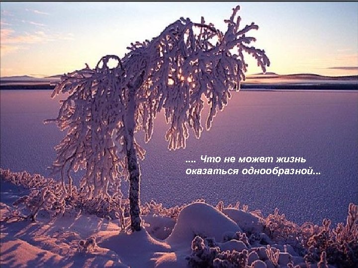 . . Что не может жизнь оказаться однообразной. . . 