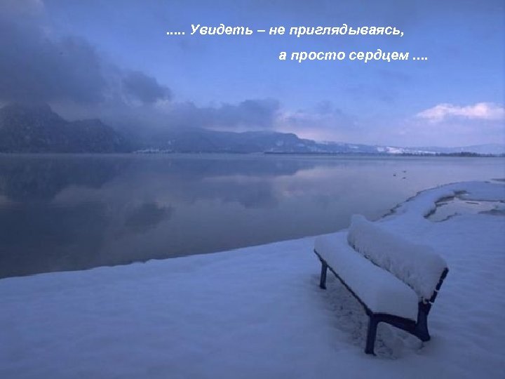 . . . Увидеть – не приглядываясь, а просто сердцем. . 