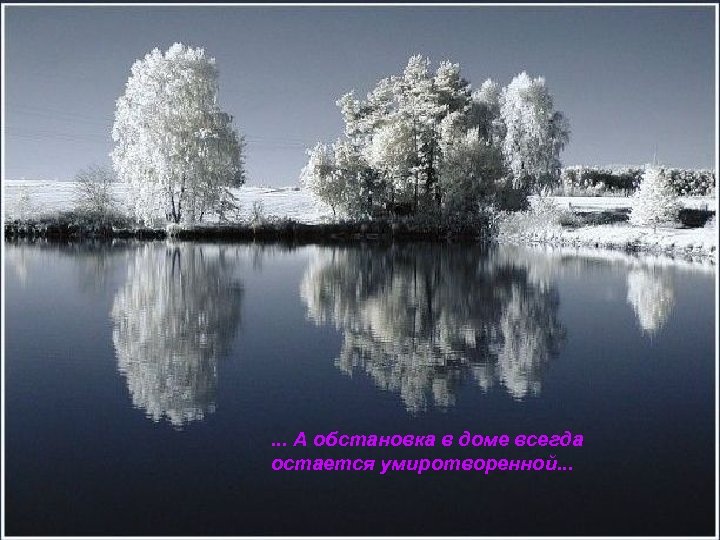 . . . А обстановка в доме всегда остается умиротворенной. . . 