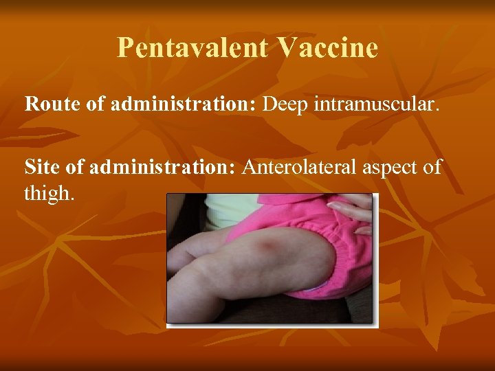 Pentavalent Vaccine Route of administration: Deep intramuscular. Site of administration: Anterolateral aspect of thigh.