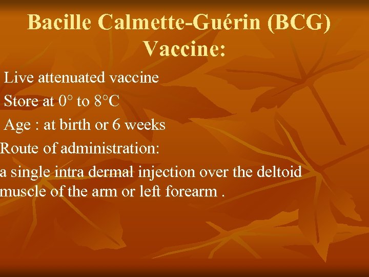 Bacille Calmette-Guérin (BCG) Vaccine: Live attenuated vaccine Store at 0° to 8°C Age :