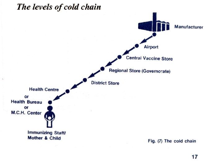 The levels of cold chain 