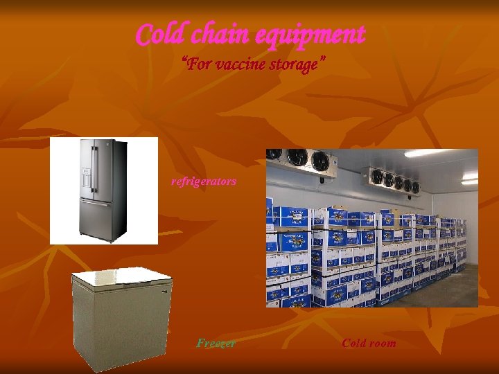 Cold chain equipment “For vaccine storage” refrigerators Freezer Cold room 