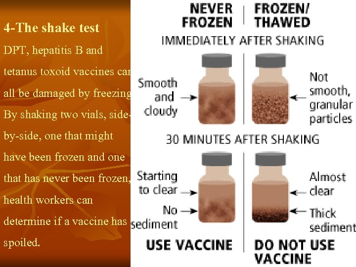 4 -The shake test DPT, hepatitis B and tetanus toxoid vaccines can all be