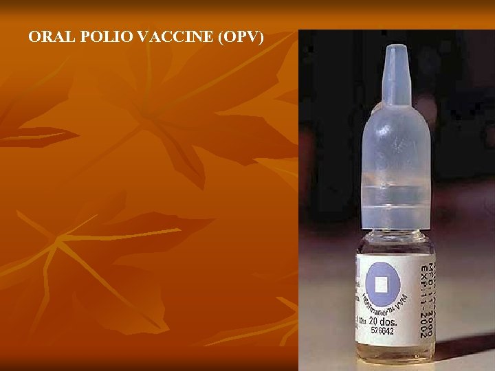 ORAL POLIO VACCINE (OPV) 