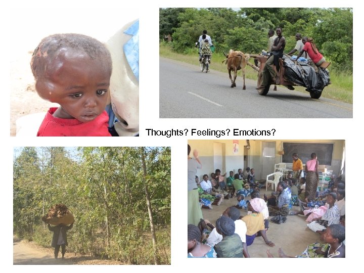 Thoughts? Feelings? Emotions? 