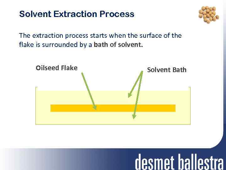 Solvent Extraction Process The extraction process starts when the surface of the flake is