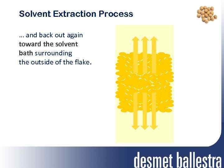 Solvent Extraction Process … and back out again toward the solvent bath surrounding the