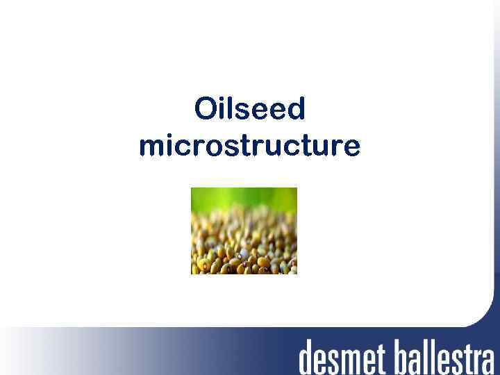 Oilseed microstructure 