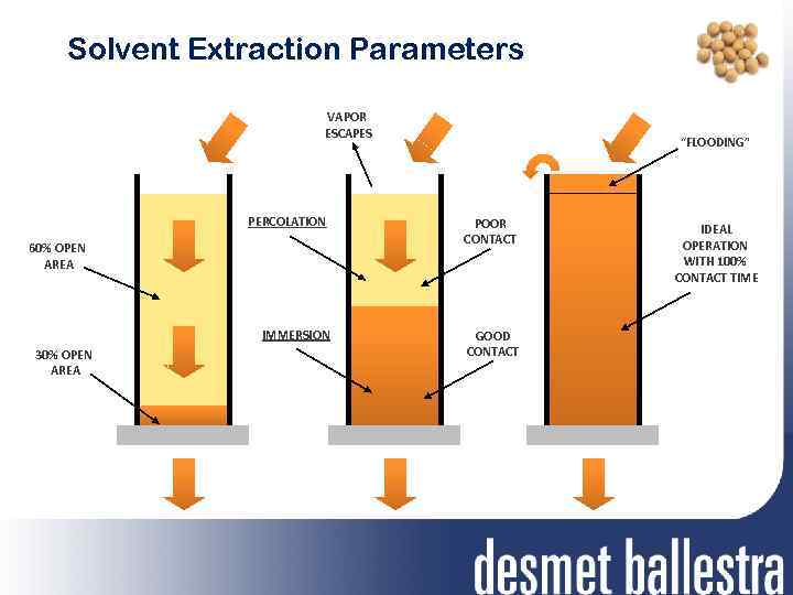 Solvent Extraction Parameters VAPOR ESCAPES “FLOODING” PERCOLATION POOR CONTACT IMMERSION GOOD CONTACT 60% OPEN