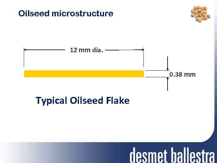 Oilseed microstructure 12 mm dia. 0. 38 mm Typical Oilseed Flake 