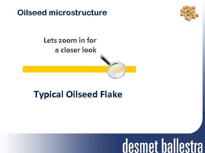 Oilseed microstructure Lets zoom in for a closer look Typical Oilseed Flake 