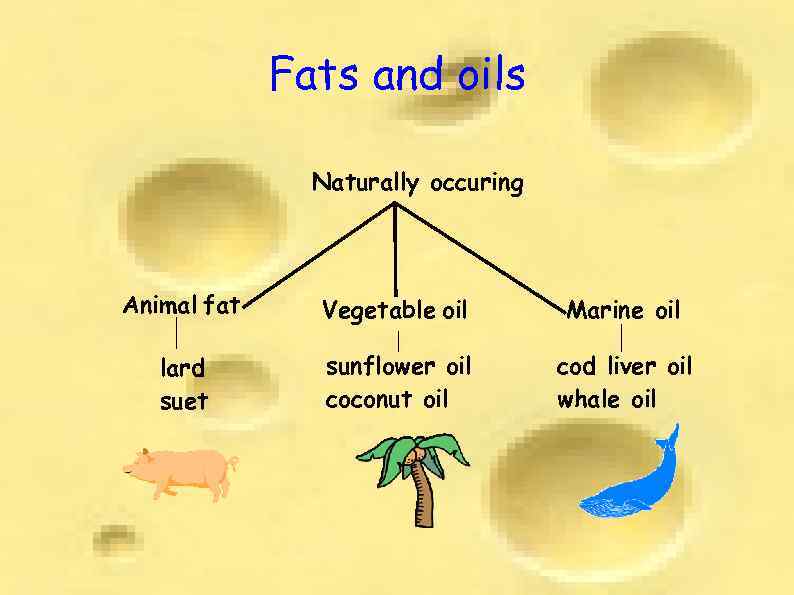 Fats and oils Naturally occuring Animal fat Vegetable oil Marine oil lard suet sunflower