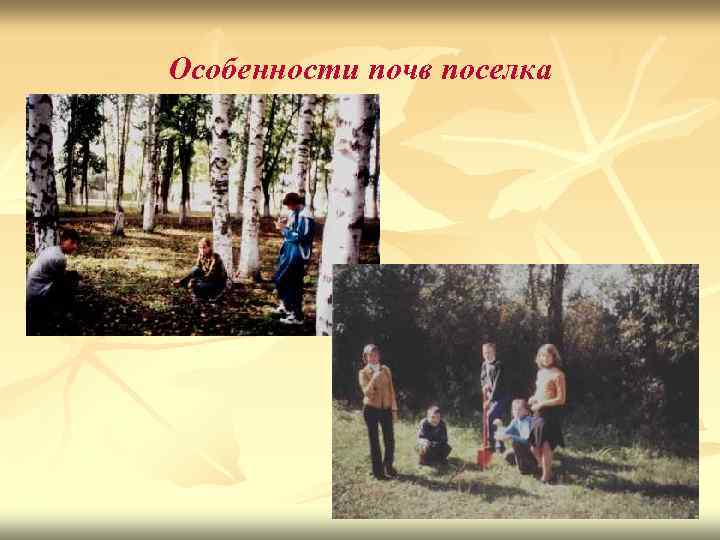 Особенности почв поселка 