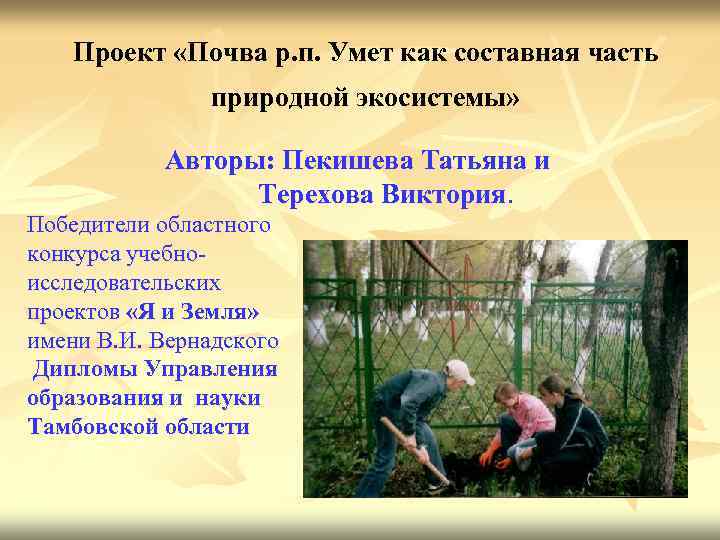 Проект «Почва р. п. Умет как составная часть природной экосистемы» Авторы: Пекишева Татьяна и