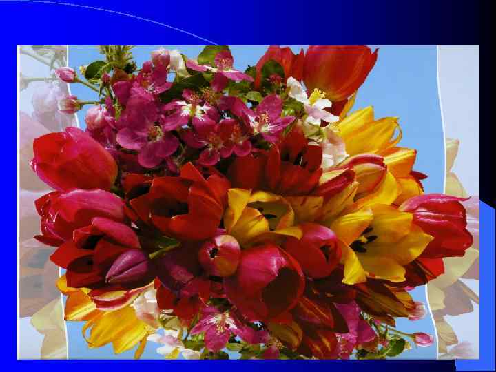 Благодарю за внимание! 