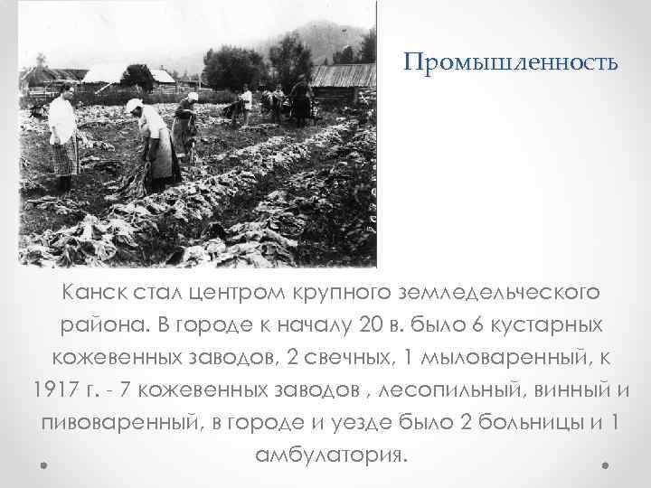 Промышленность Канск стал центром крупного земледельческого района. В городе к началу 20 в. было