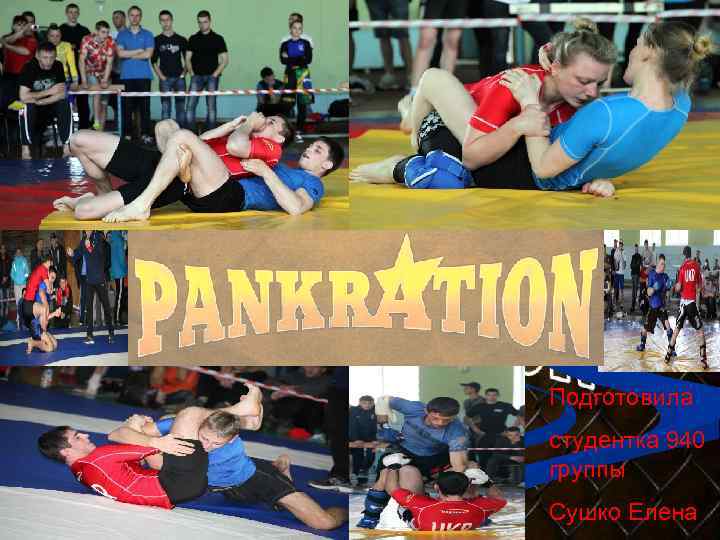 ЦИРК Ноябрь Предложение по интеграции Реальные бои без правил Подготовила студентка 940 группы Сушко
