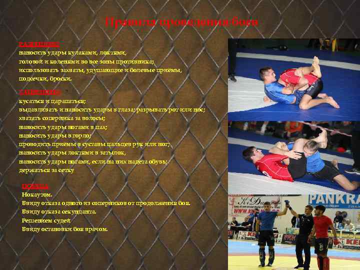 Правила проведения боев РАЗРЕШЕНО наносить удары кулаками, локтями, головой и коленями во все зоны