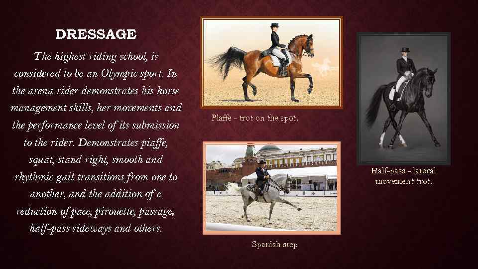 DRESSAGE The highest riding school, is considered to be an Olympic sport. In the