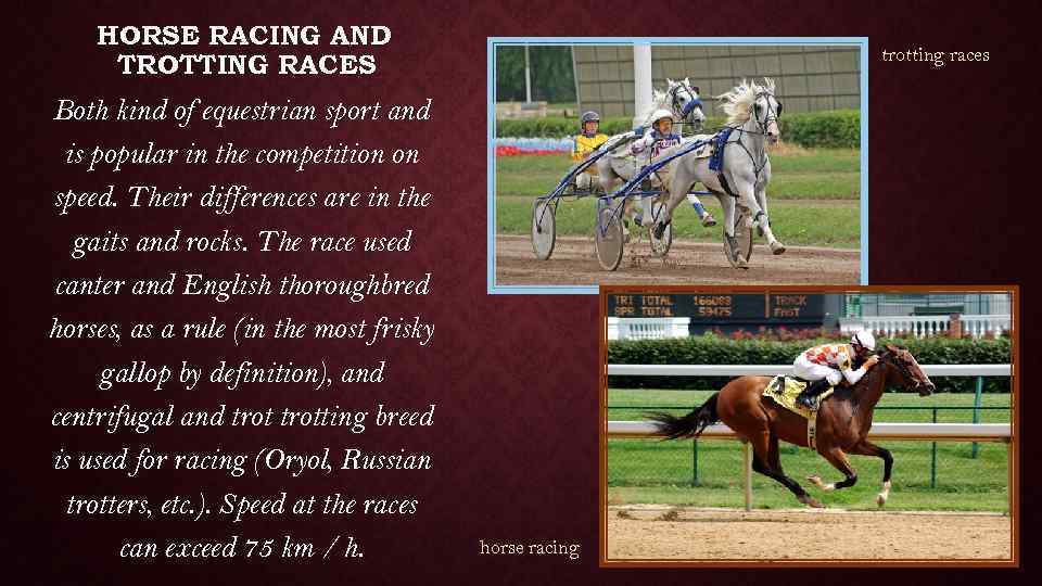 HORSE RACING AND TROTTING RACES Both kind of equestrian sport and is popular in