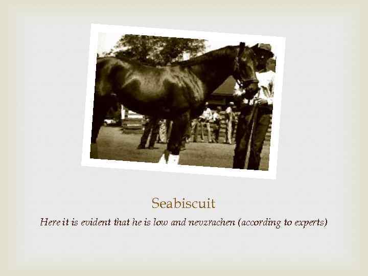 Seabiscuit Here it is evident that he is low and nevzrachen (according to experts)