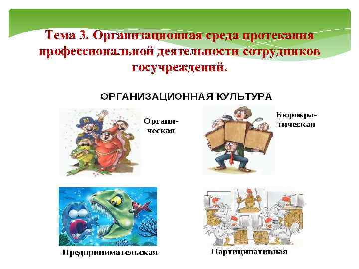 Тема 3. Организационная среда протекания профессиональной деятельности сотрудников госучреждений. 