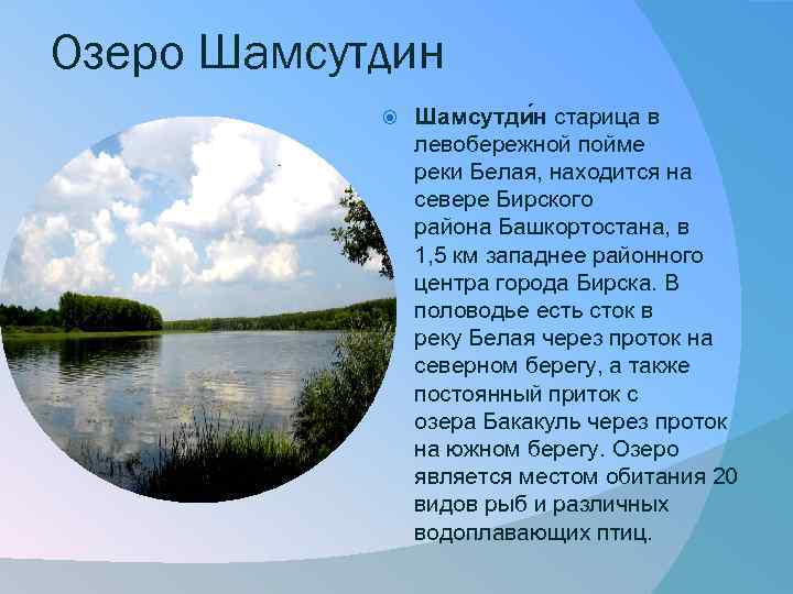 Озеро Шамсутдин Шамсутди н старица в левобережной пойме реки Белая, находится на севере Бирского