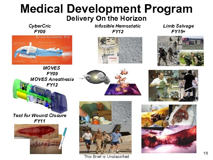 Medical Development Program Delivery On the Horizon Cyber. Cric FY 09 Infusible Hemostatic FY