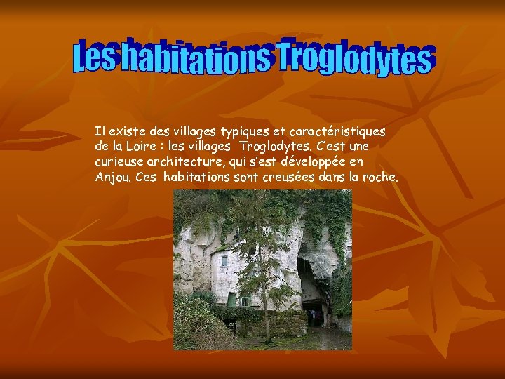 Il existe des villages typiques et caractéristiques de la Loire : les villages Troglodytes.