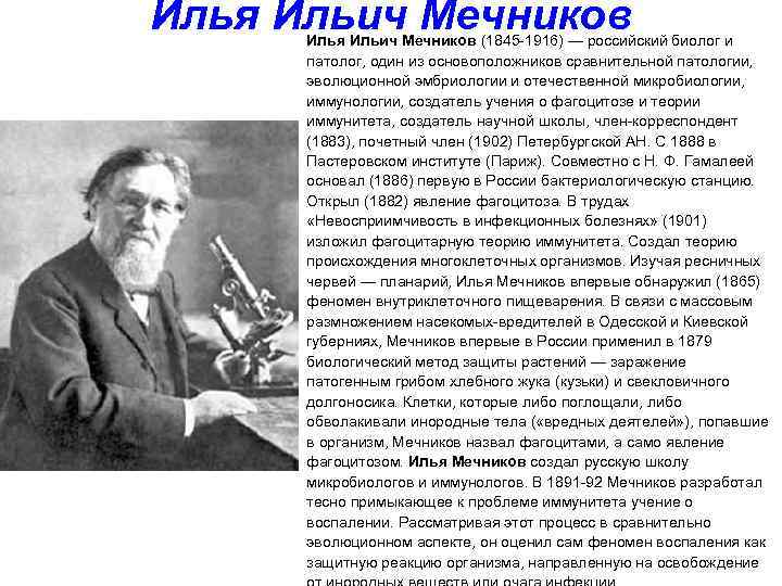 Илья Ильич Мечников (1845 -1916) — российский биолог и патолог, один из основоположников сравнительной