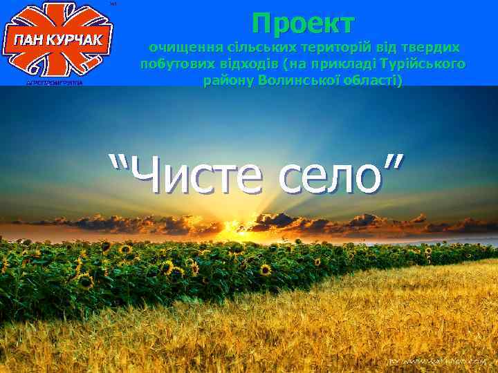 Проект очищення сільських територій від твердих побутових відходів (на прикладі Турійського району Волинської області)