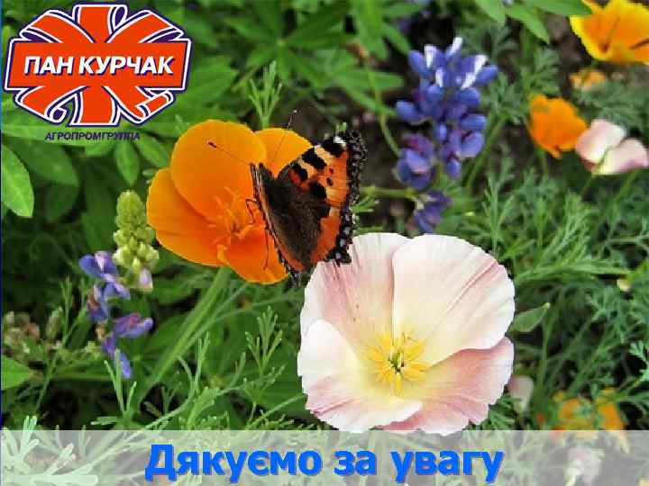 Дякуємо за увагу 