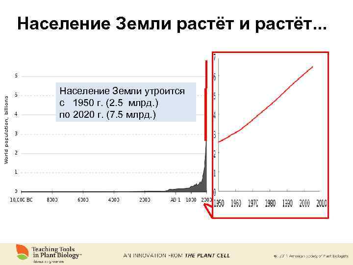 Население Земли растёт. . . Население Земли утроится с 1950 г. (2. 5 млрд.